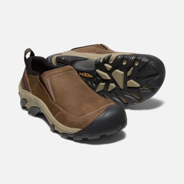 Targhee ii soho